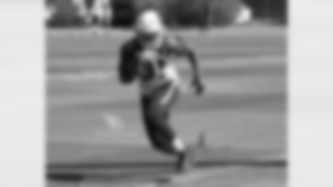 RB David Johnson