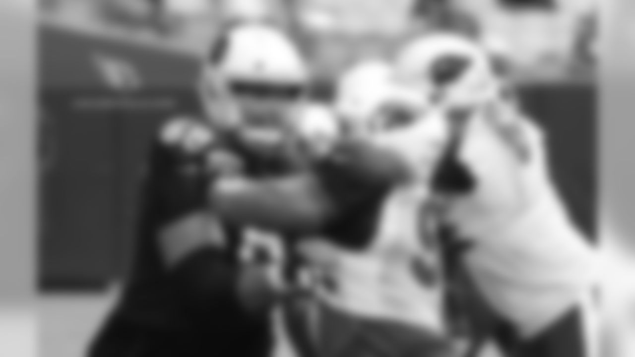 T Jared Veldheer vs DT Xavier Williams