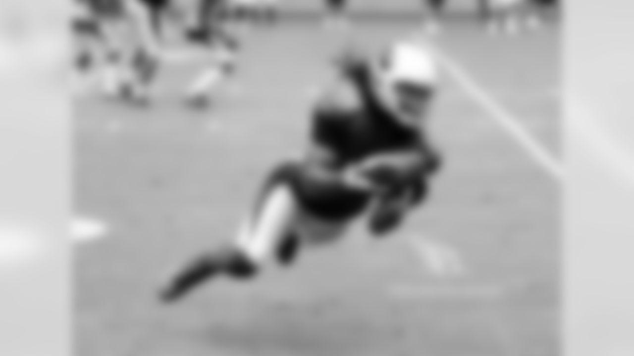 WR Larry Fitzgerald