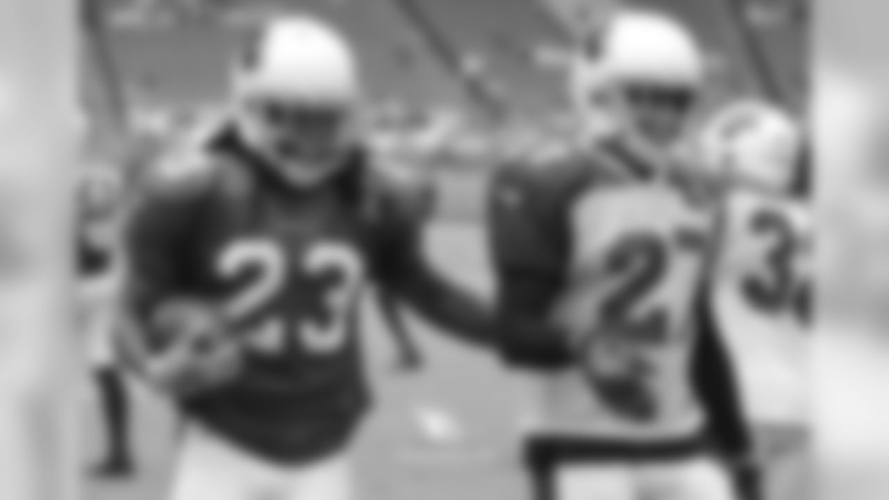 RB Chris Johnson (left) and S Tyvon Branch