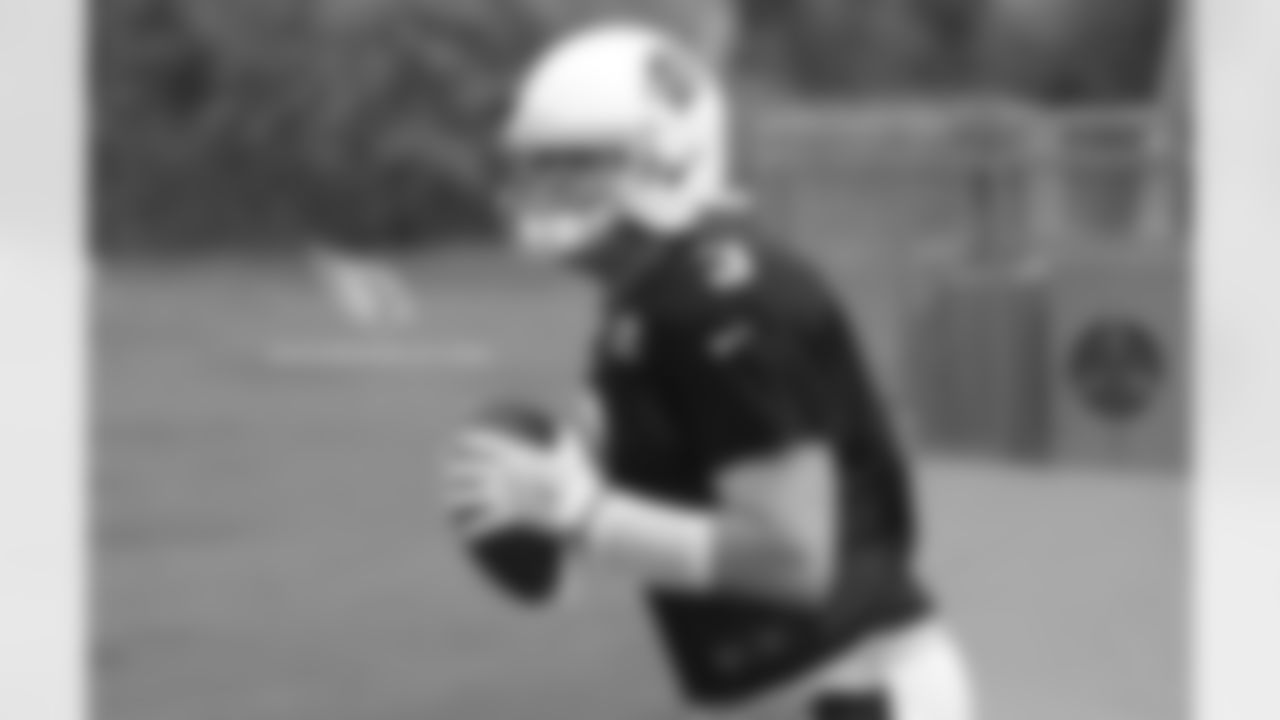 QB Carson Palmer