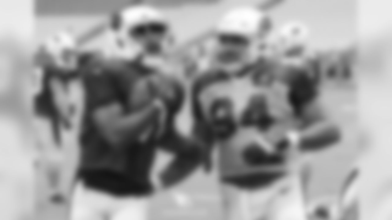 RB David Johnson (left) and DT Xavier Williams