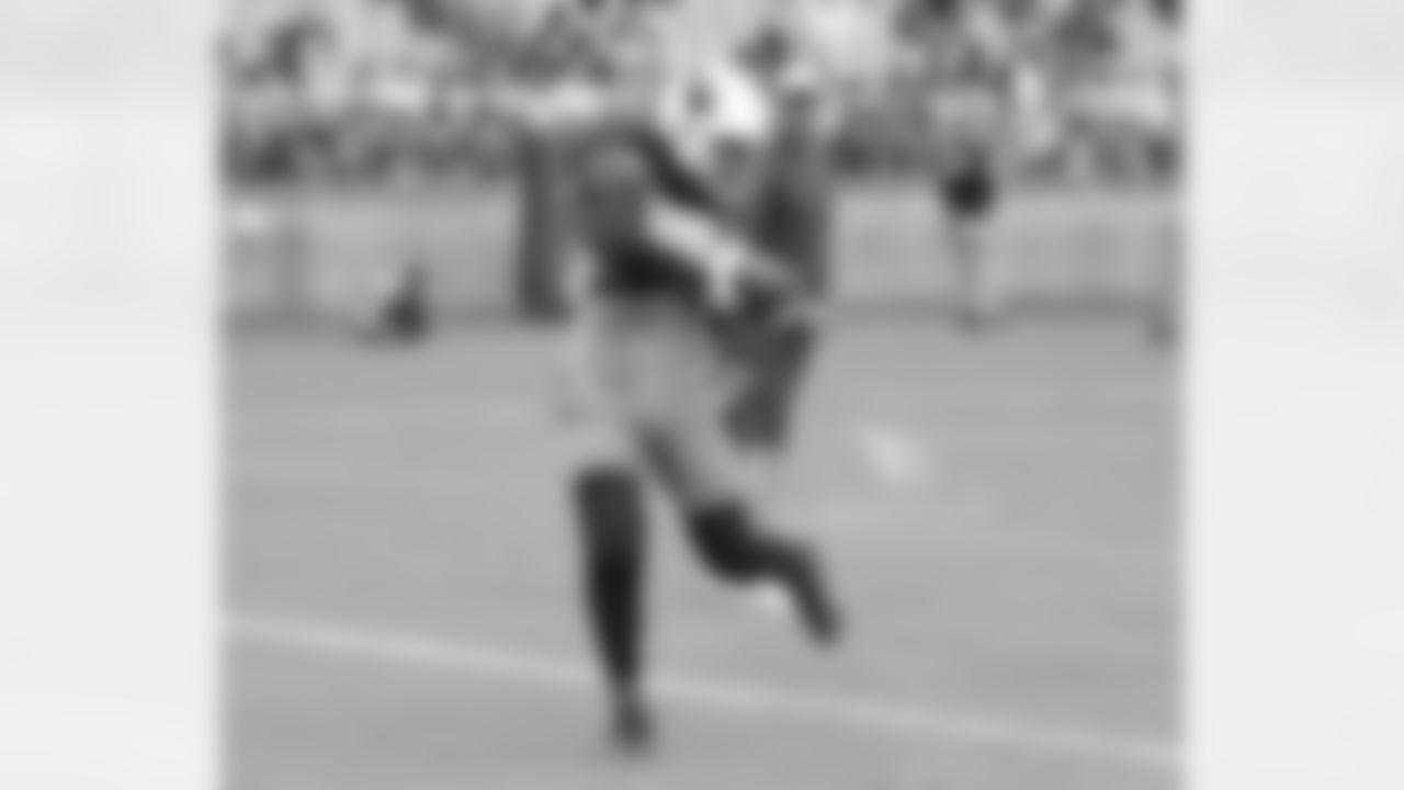 WR Larry Fitzgerald
