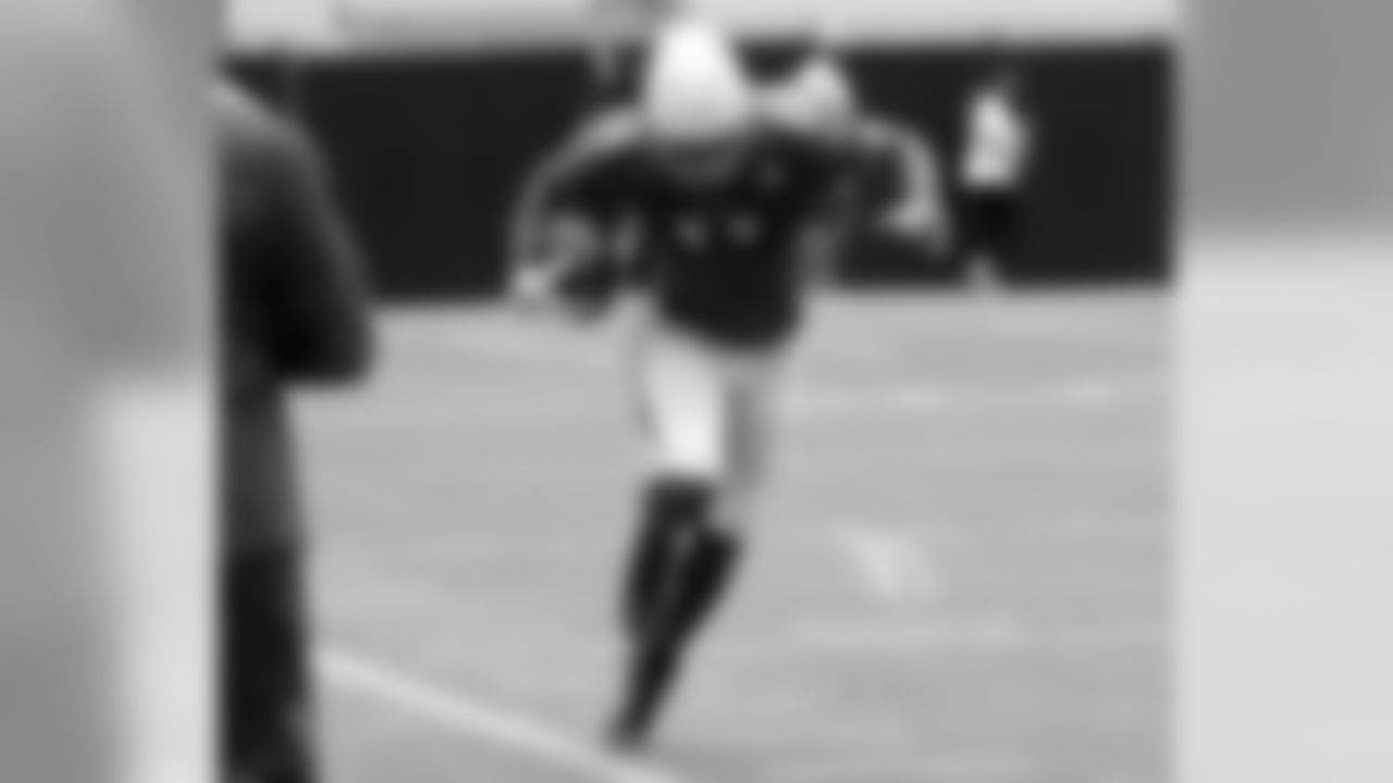WR Larry Fitzgerald