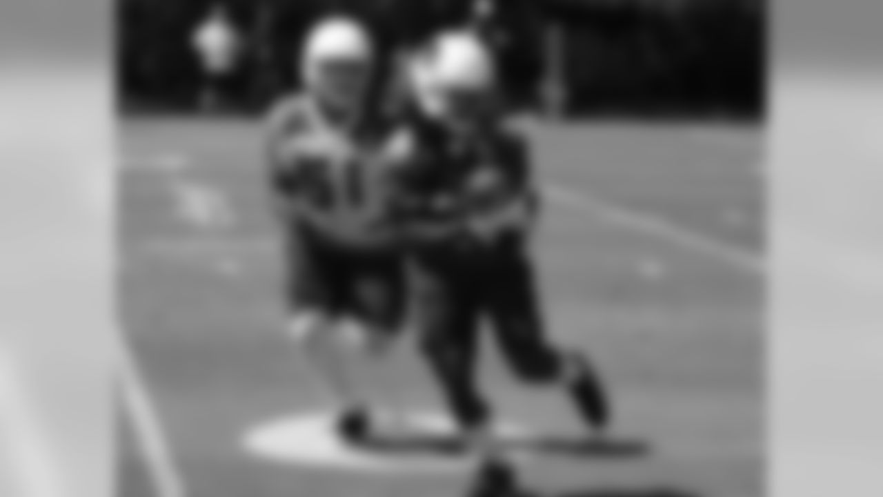 RB Andre Ellington
