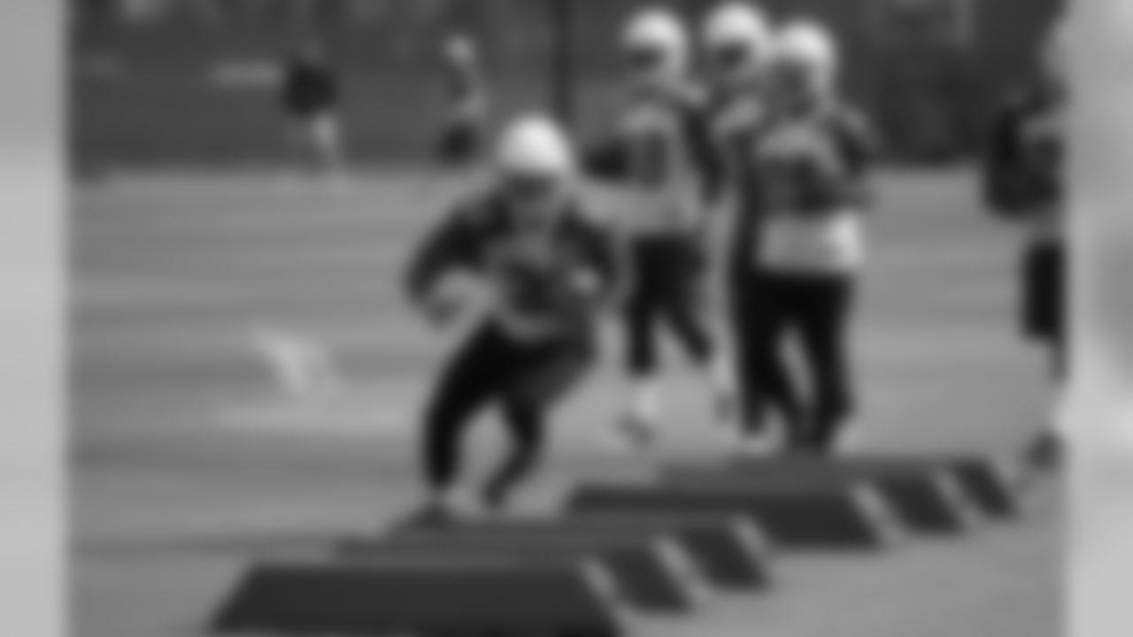 RB David Johnson
