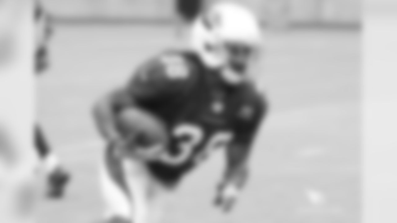 RB Andre Ellington