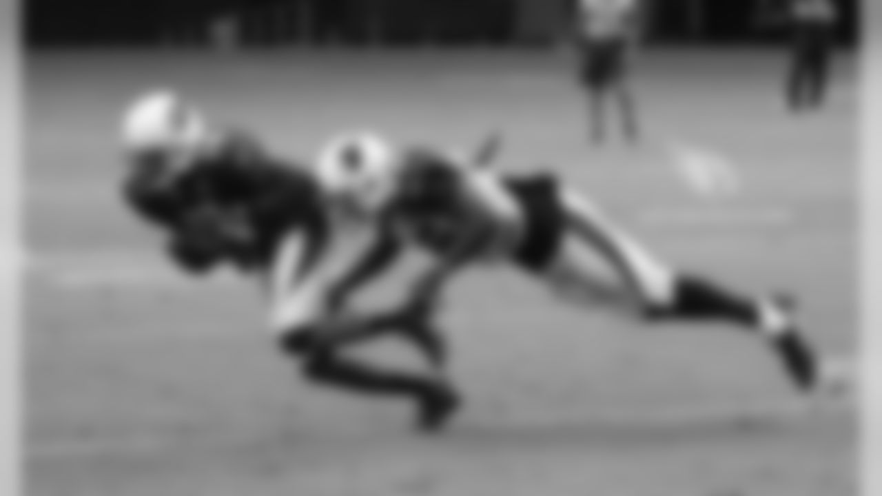 WR J.J. Nelson