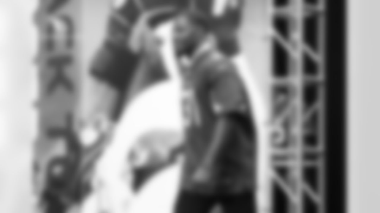 RB David Johnson