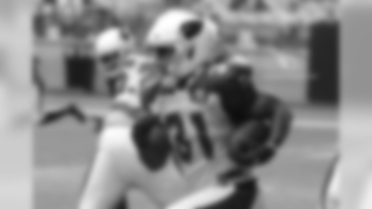 RB David Johnson