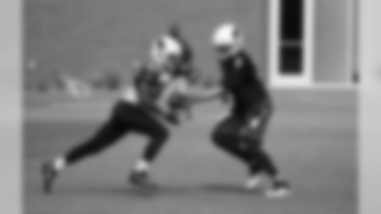 RB David Johnson takes a handoff
