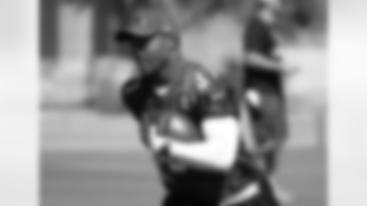 RB David Johnson