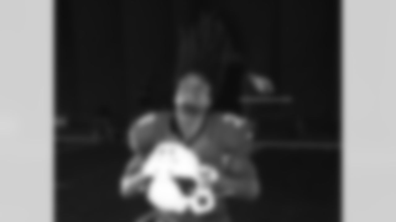 RB Andre Ellington