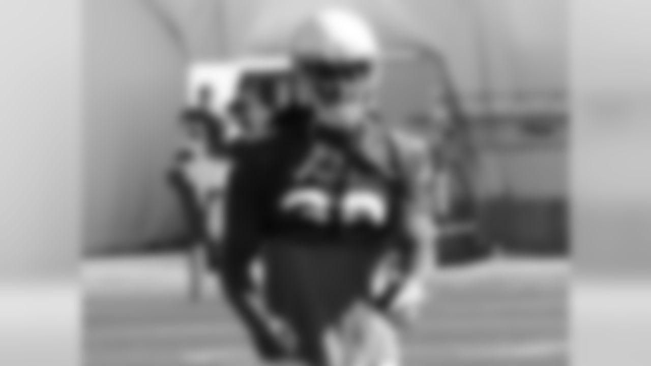 RB Andre Ellington