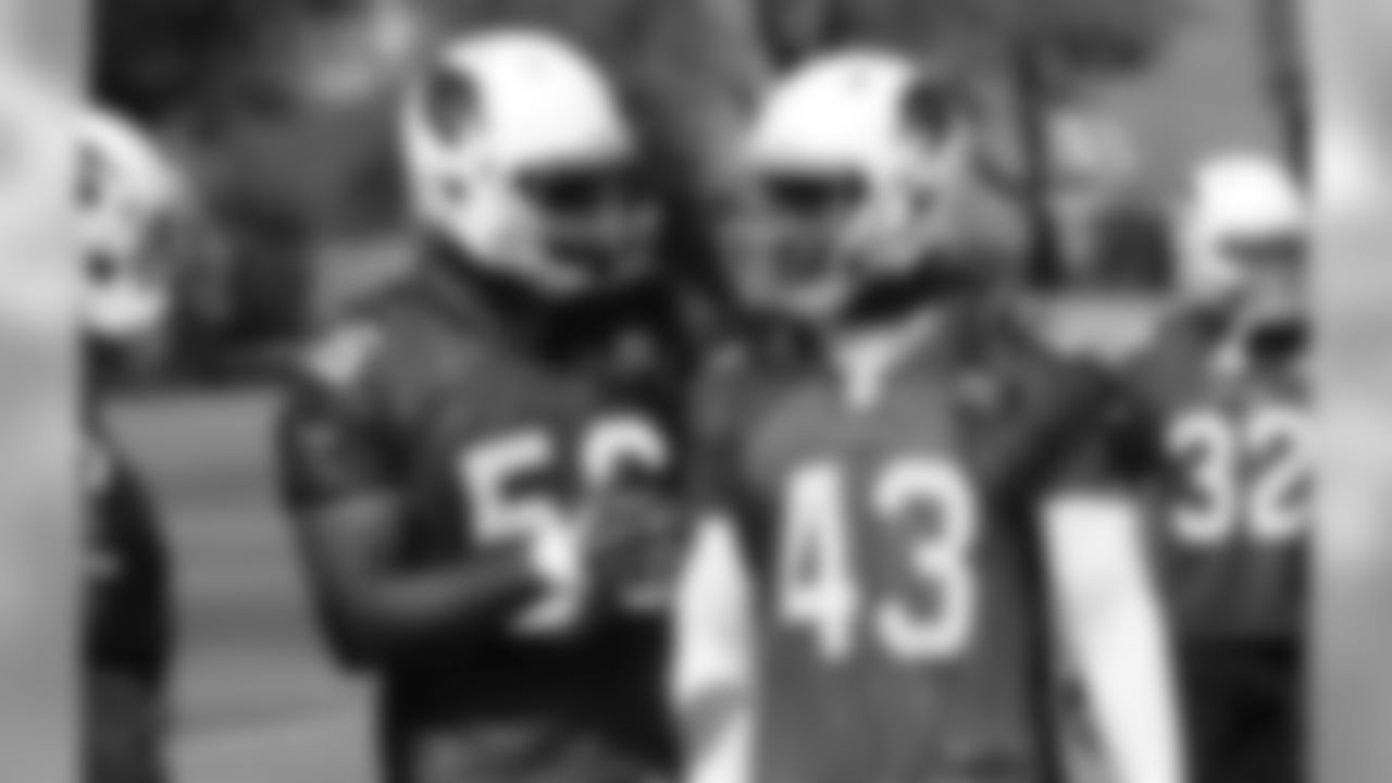 LB Karlos Dansby (left) speaks with LB Haason Reddick during OTAs
