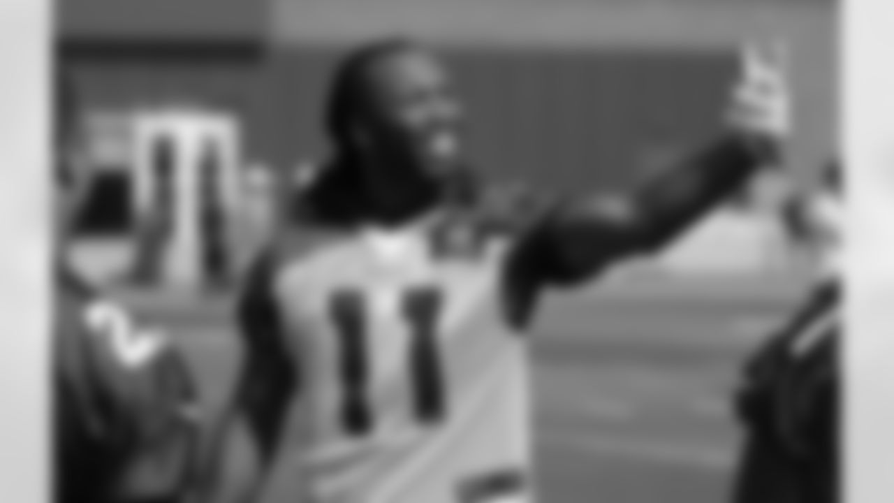 WR Larry Fitzgerald