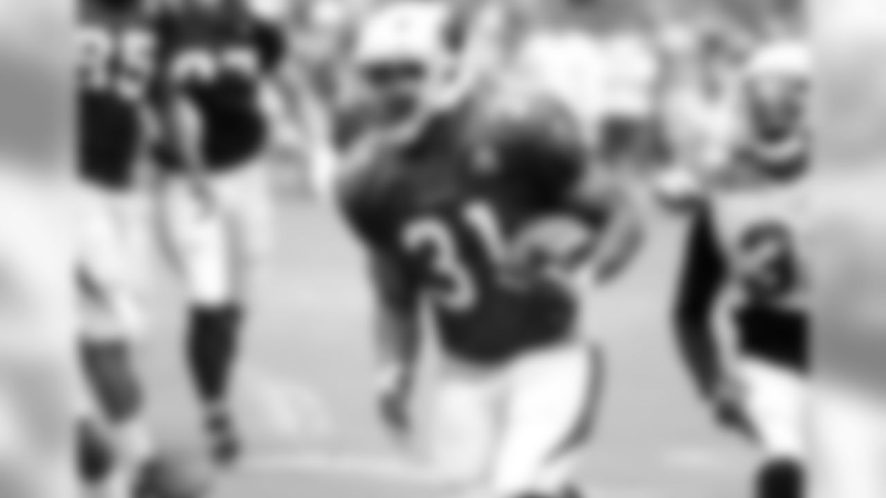 RB David Johnson