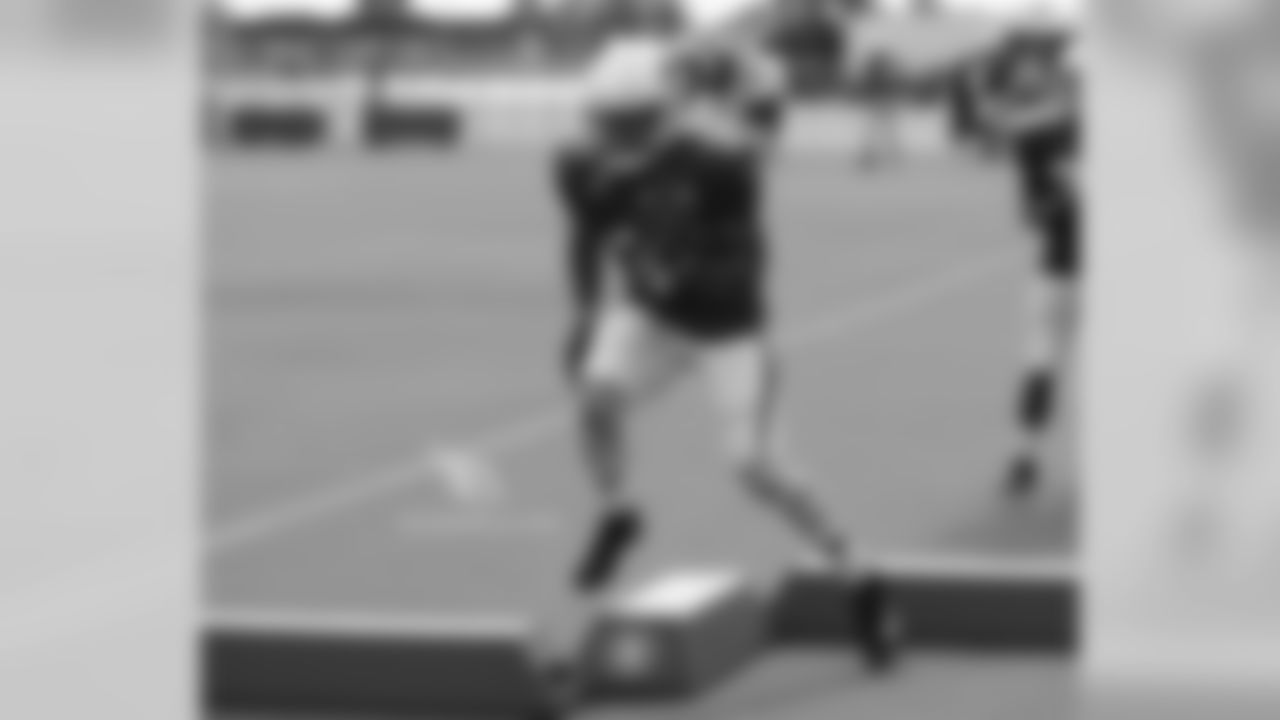 RB David Johnson