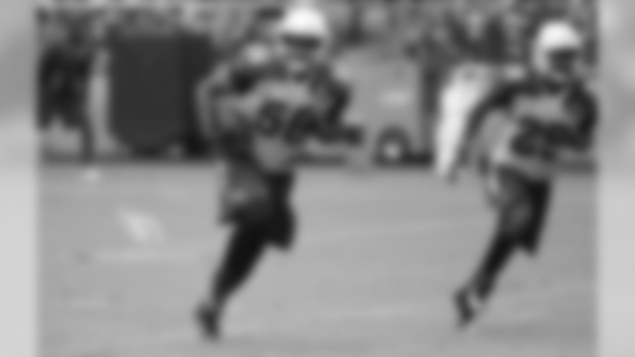LB Karlos Dansby after an intercepton