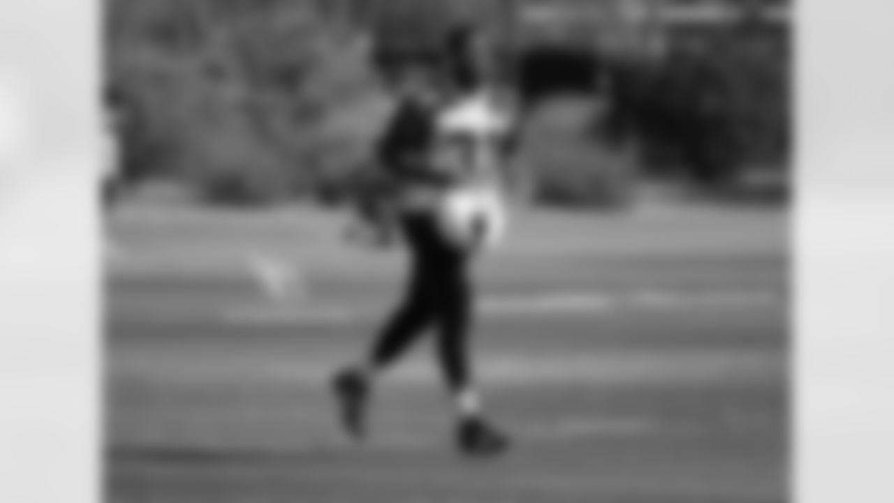 RB David Johnson