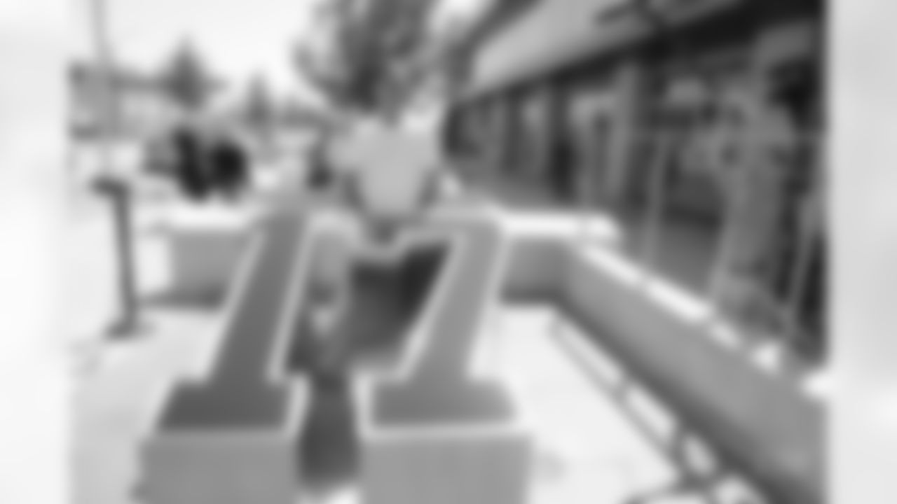 don_meredith_presented_by_michael_meredith.jpg