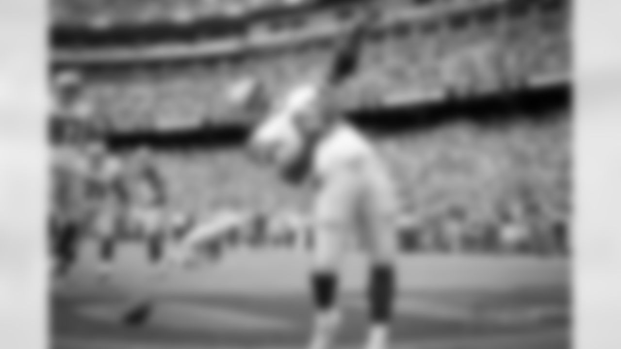 46_alfred_morris_swing_away.jpg