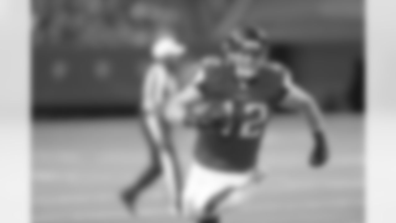 FB Patrick DiMarco had 110 receiving yards in the 2015 season
