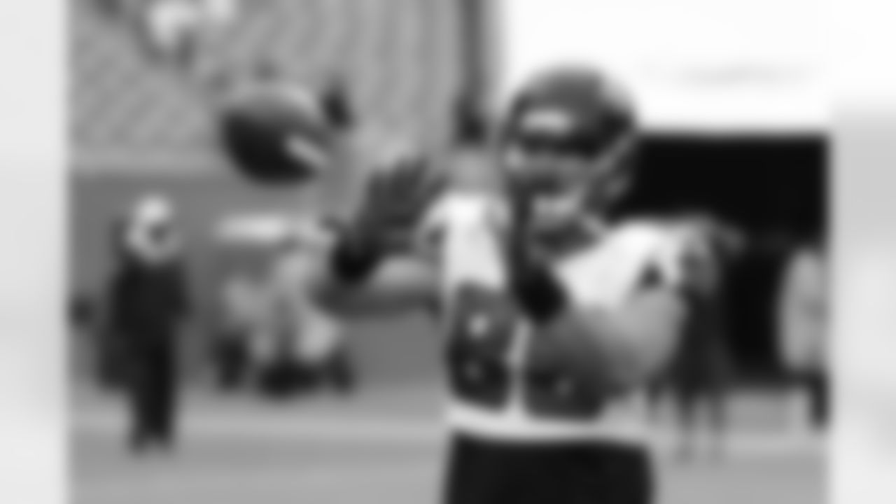 TE D.J. Tialavea