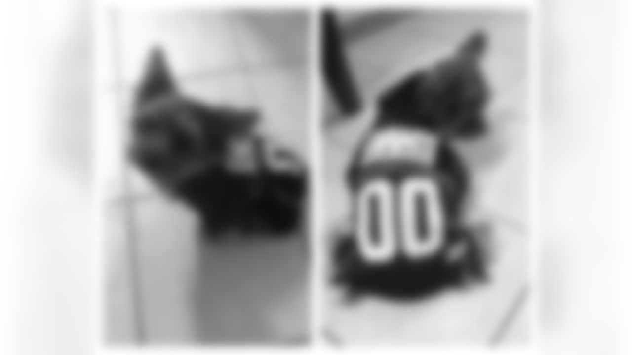 Mickey
