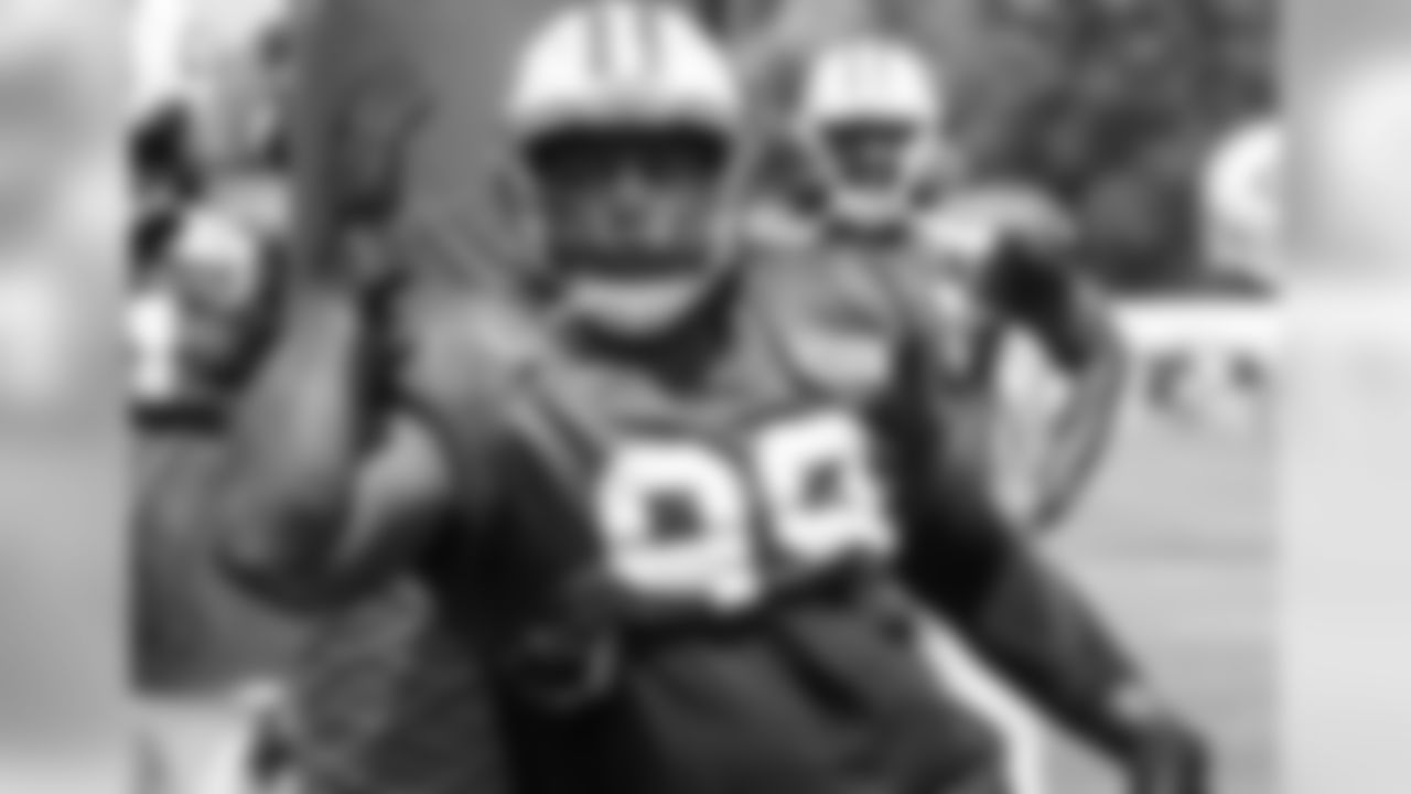 DL Steve McLendon