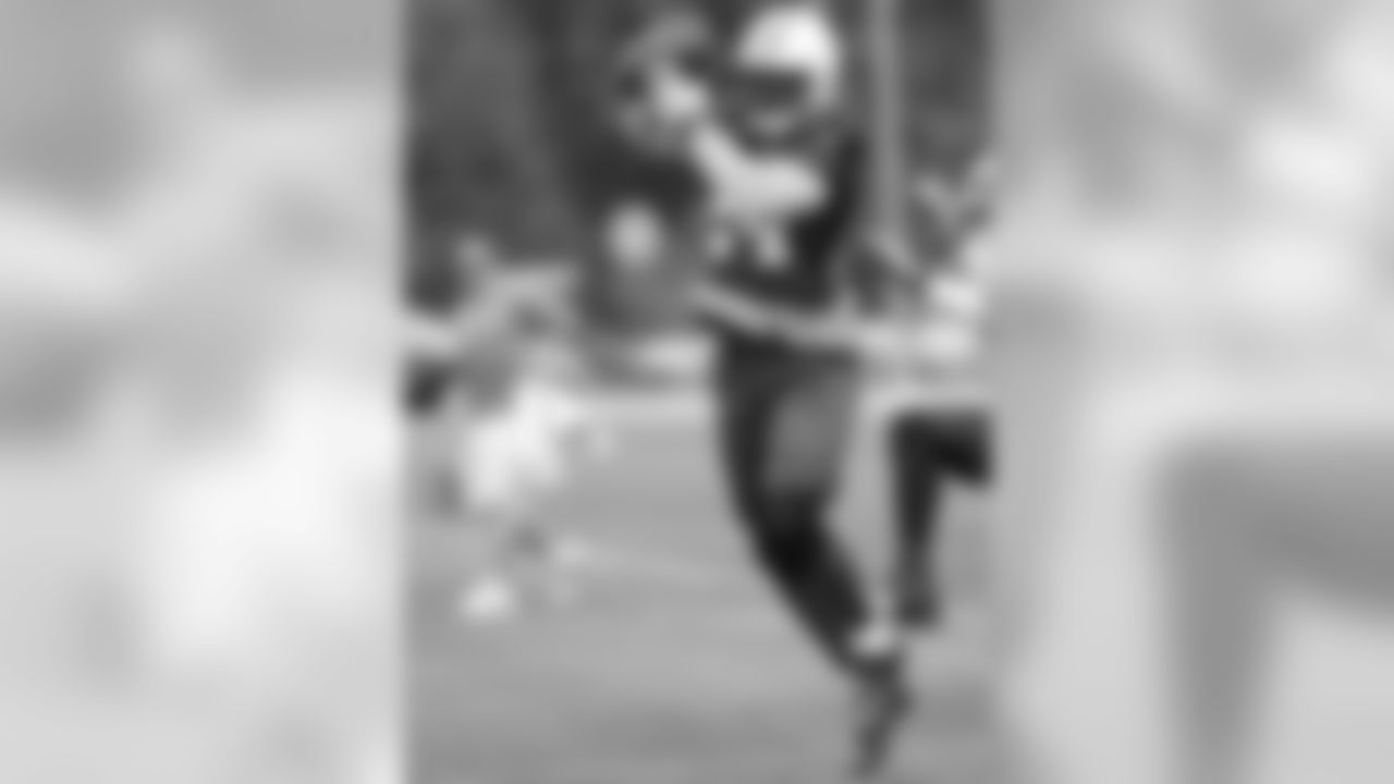 DB #24 Darrelle Revis