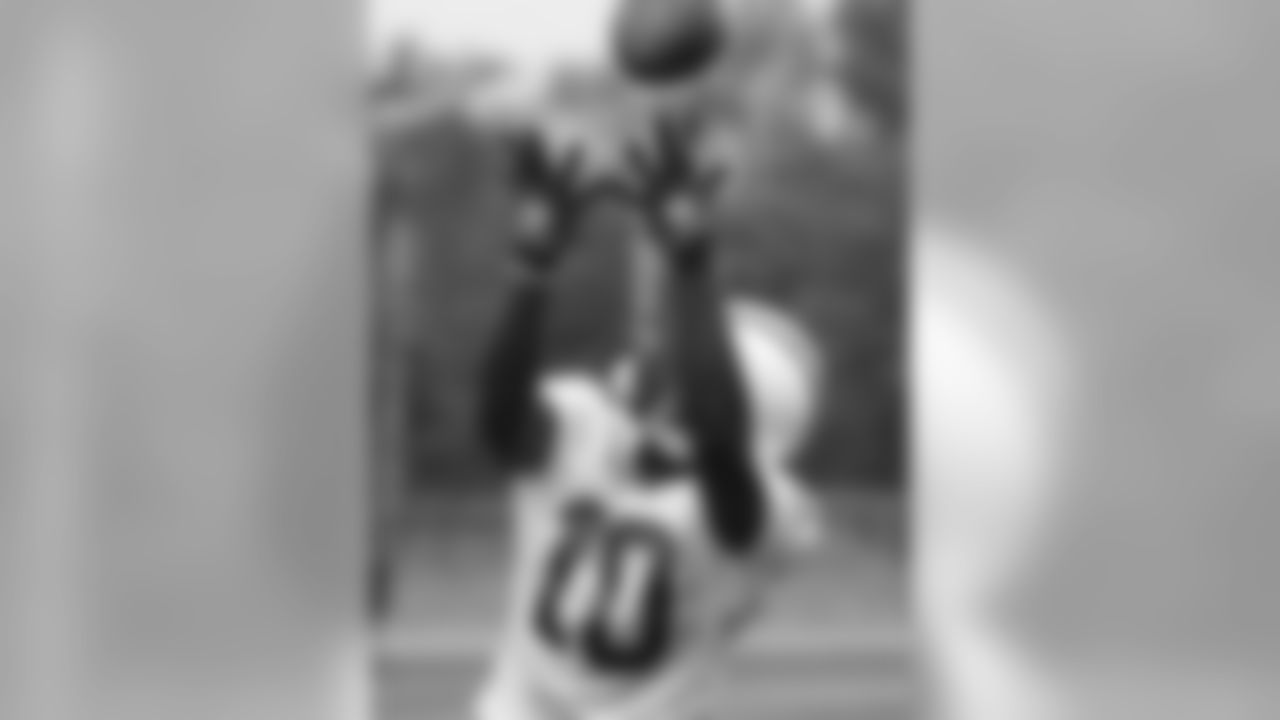 WR #10 Santonio Holmes - Dive for the ball