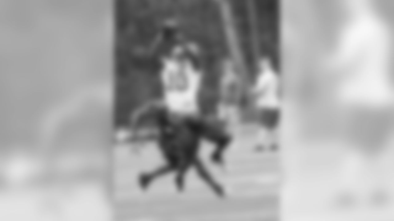 WR #10 Santonio Holmes - Catch in the air