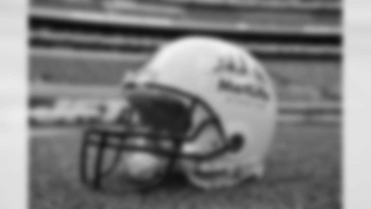 MetLife Acquires Naming Rights To New Meadowlands Stadium