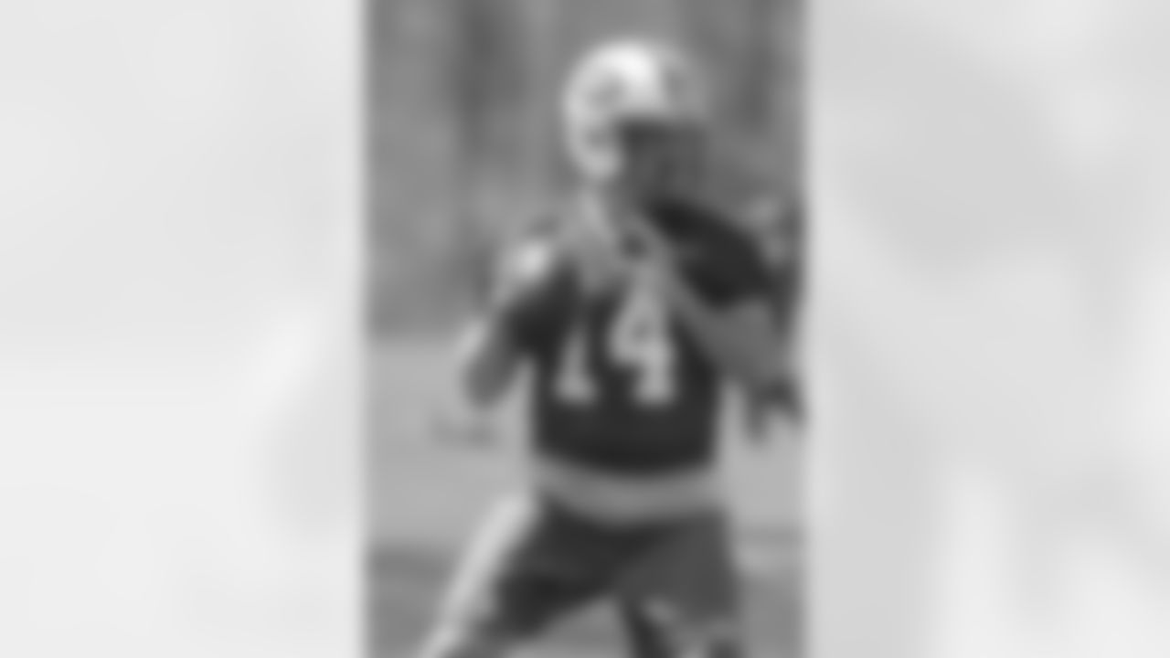 QB Ryan Fitzpatrick