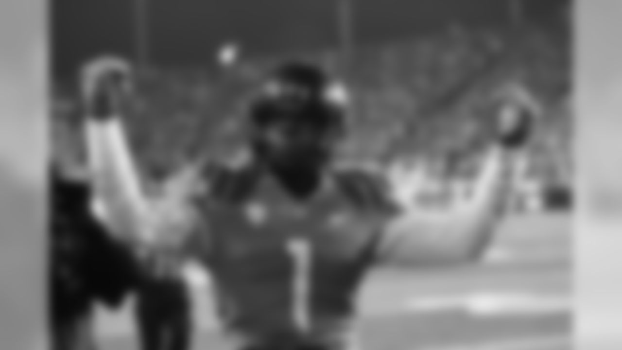 Tied school single-season record with 12 TD receptions