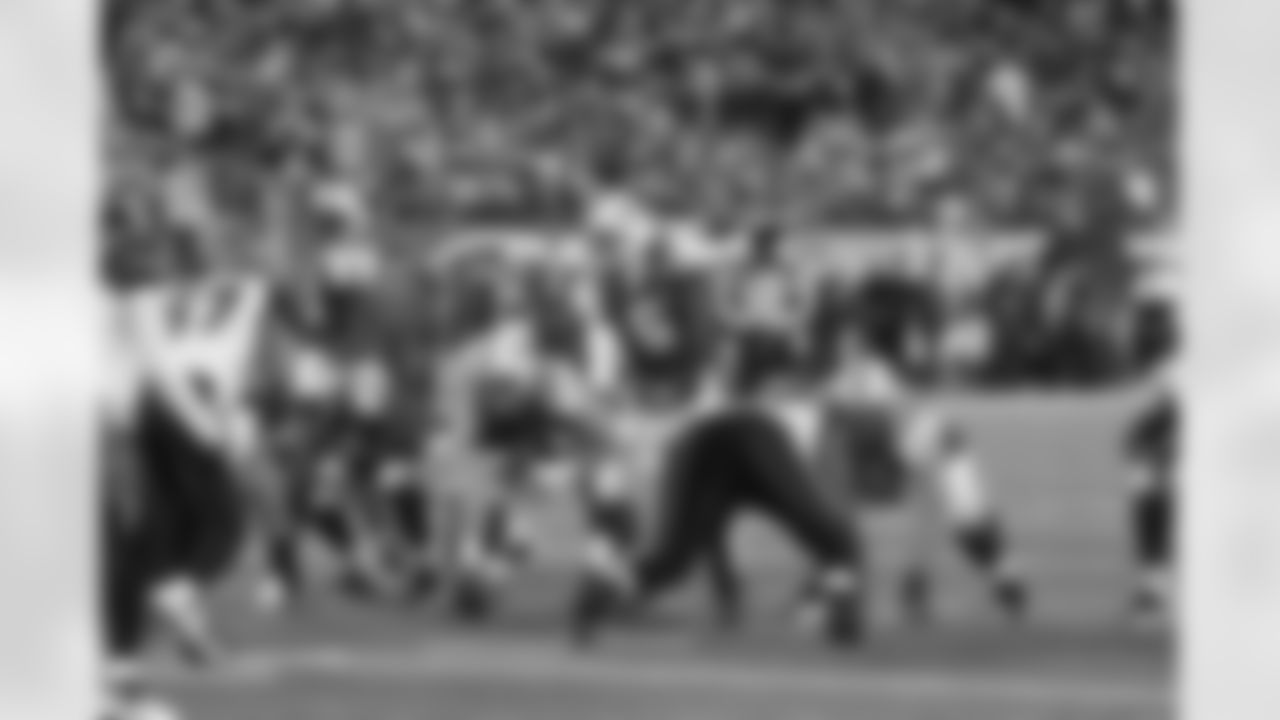 2010 Week 12 Jets vs Bengals Game Photos