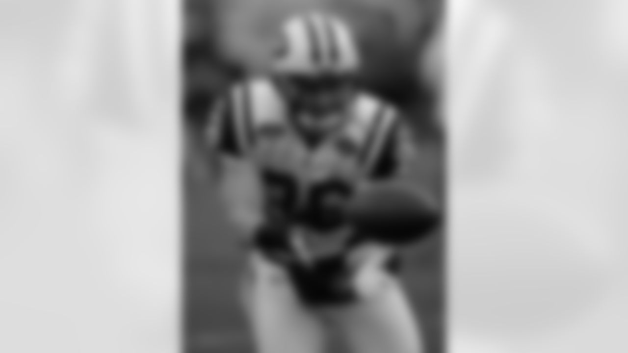 2009 Playoffs Jets at Bengals Photos
