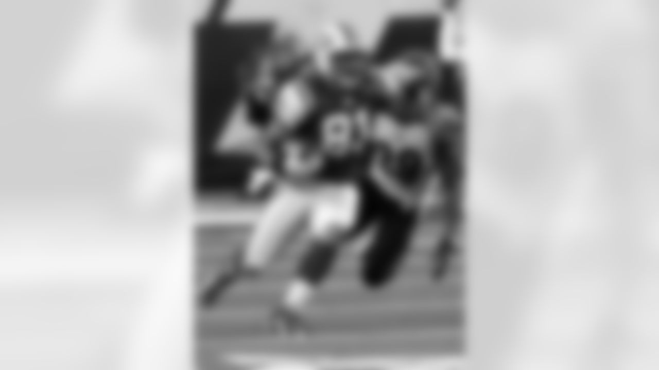 2010 Week 12 Jets vs Bengals Game Photos