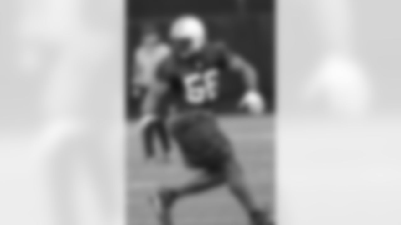 Vernon Gholston Photos