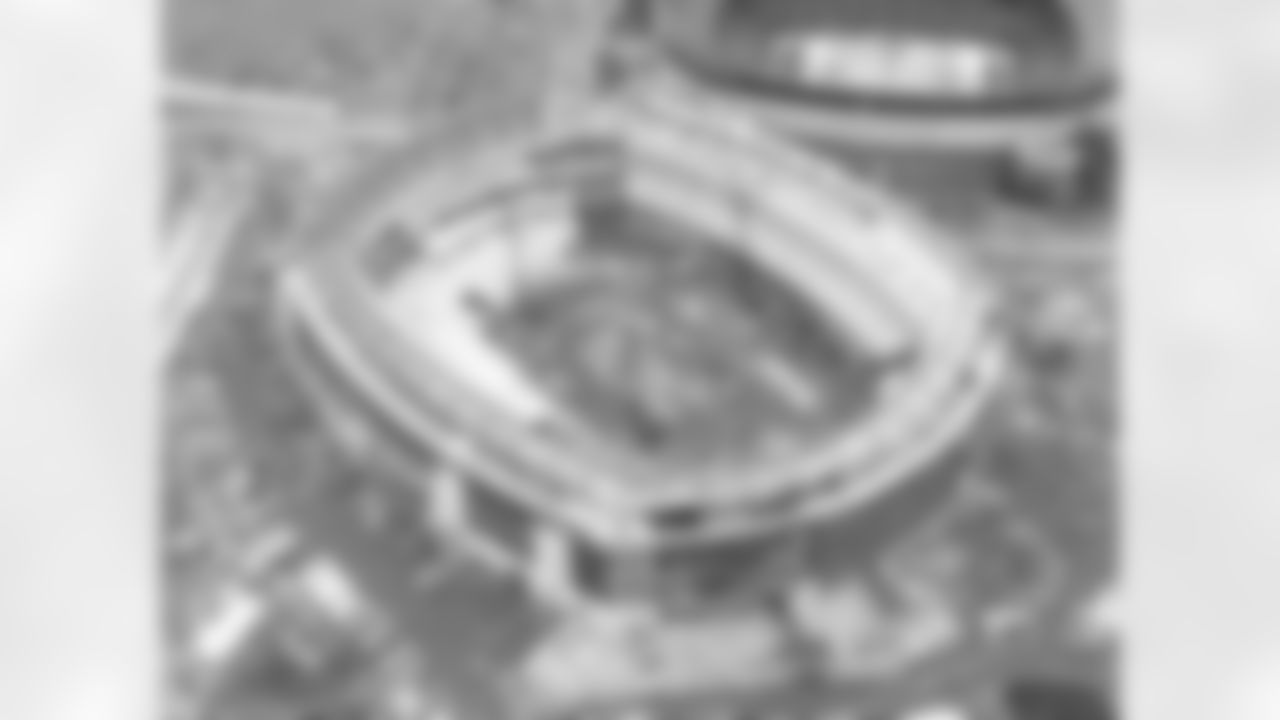 New Stadium January 2009