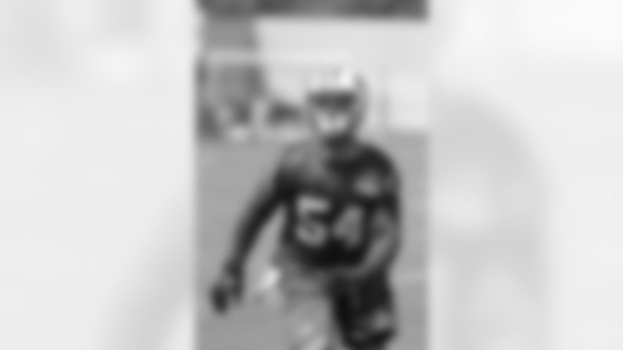 LB - Nick Bellore