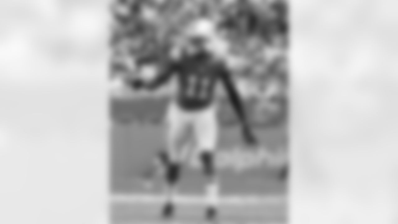 WR DeVante Parker