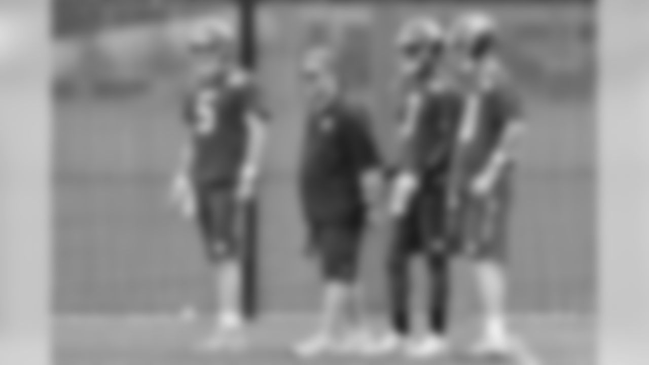 Frank Cignetti Jr., Quarterbacks