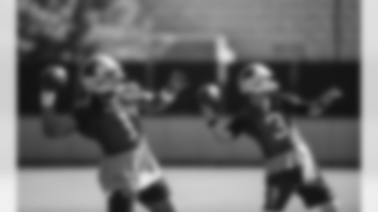 QBs Cam Newton and Derek Anderson