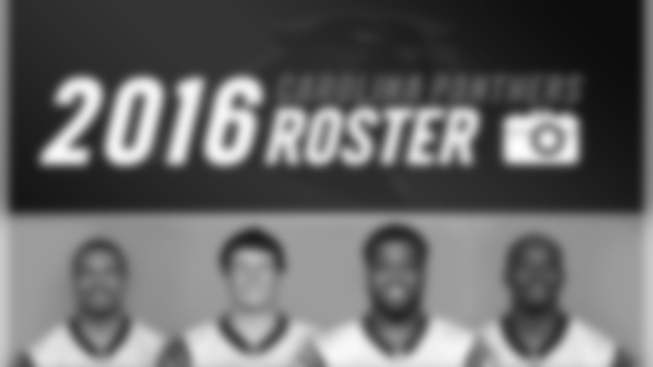 Panthers Depth Chart 2016