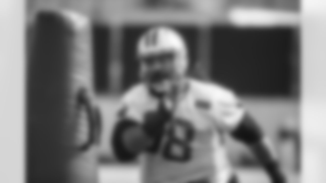 DT Star Lotulelei