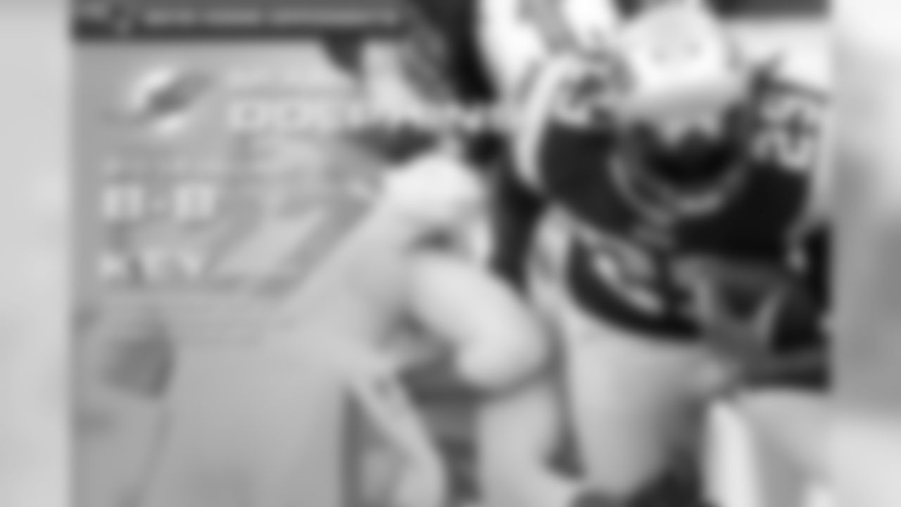 2015-opponents-dolphins-home.jpg