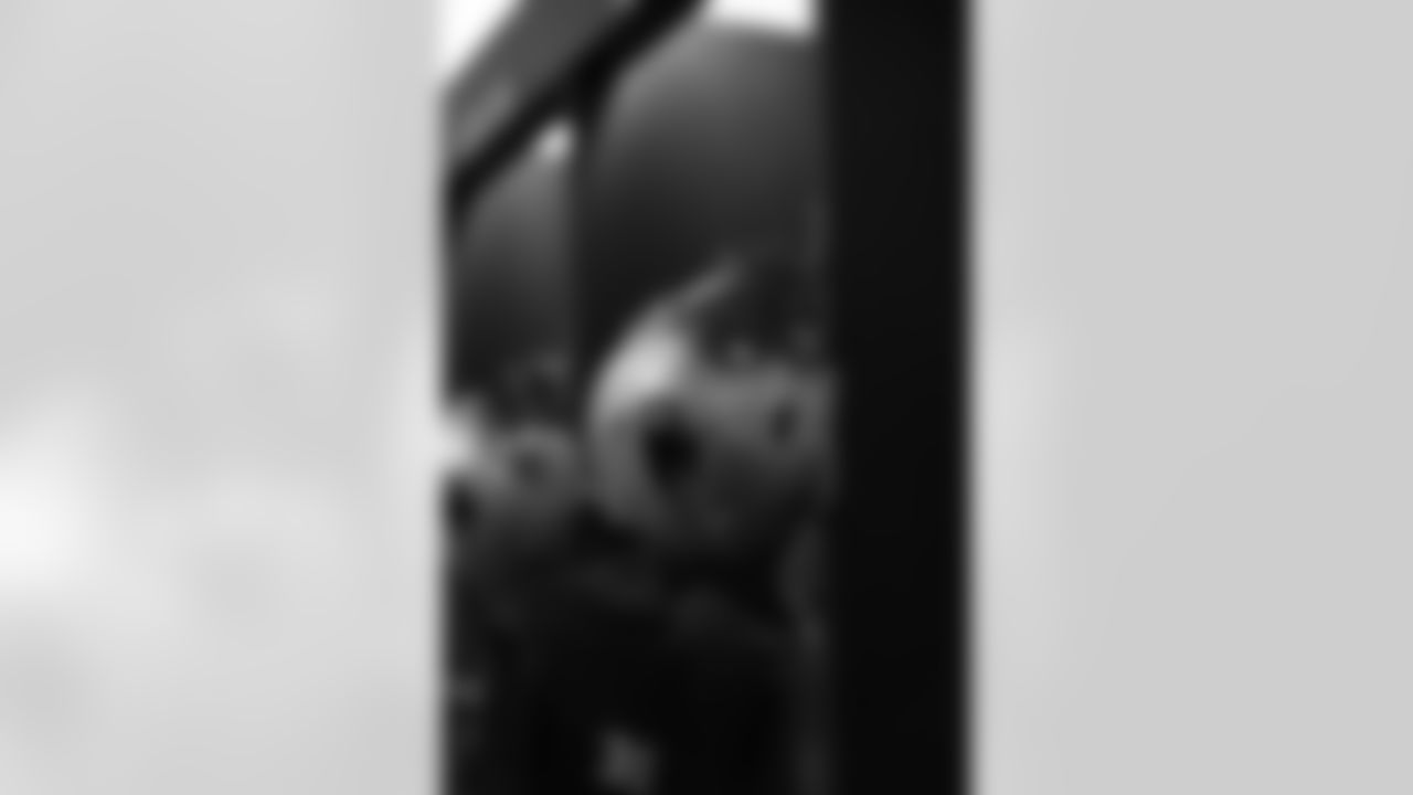 dspi2428-watermarked.jpg