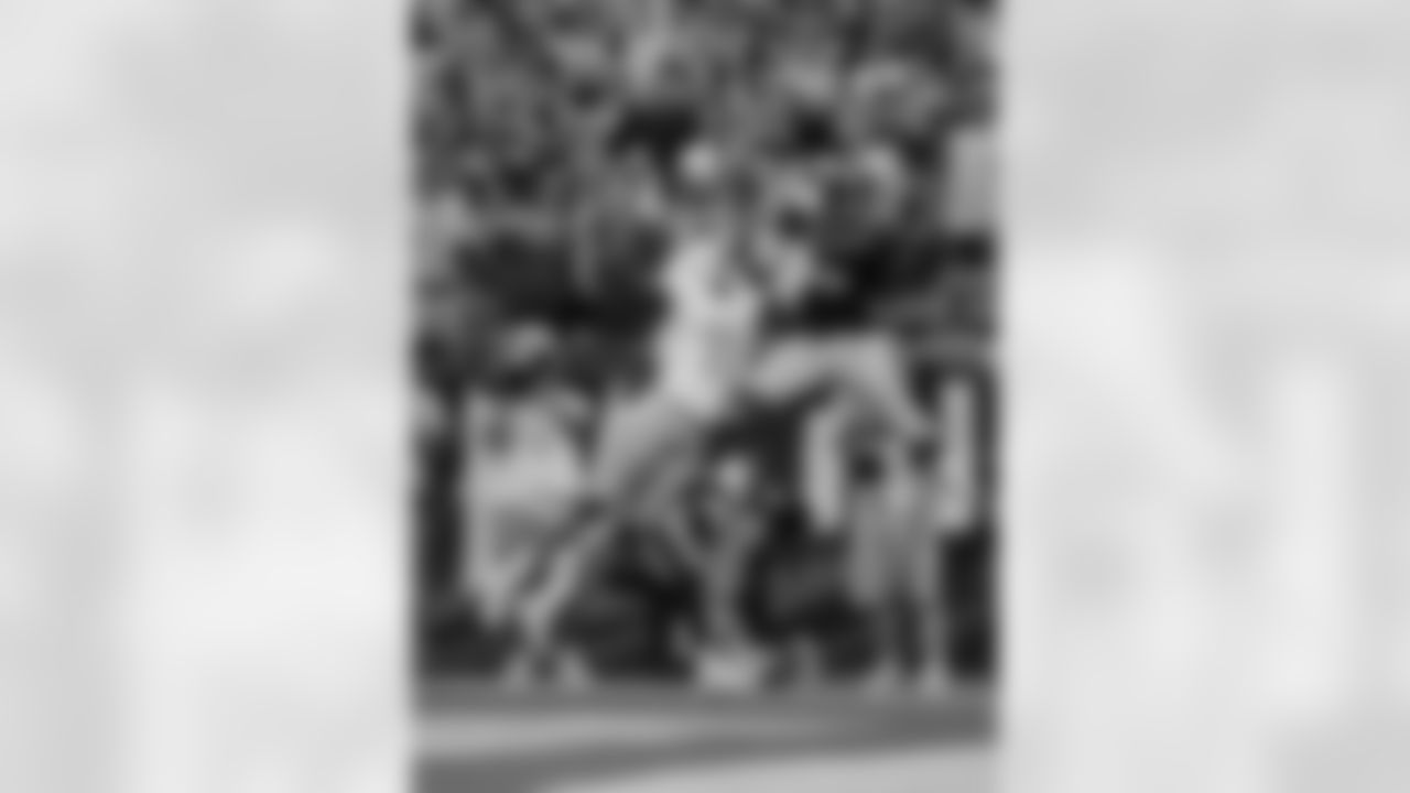 2-dolphins-ds-watermarked.jpg